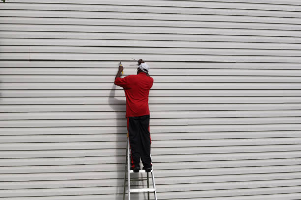 Best Custom Siding Design  in Kings Park West, VA
