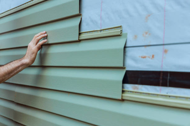 Best Custom Trim and Detailing for Siding  in Kings Park West, VA