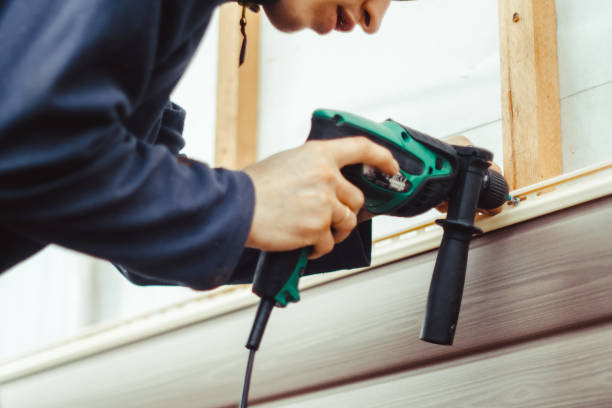 Best Siding Painting and Refinishing  in Kings Park West, VA